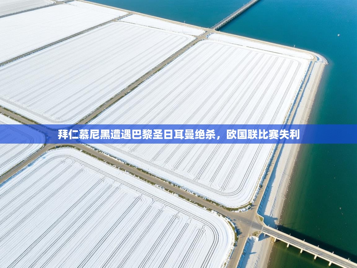 开云体育iOS安装教程-拜仁慕尼黑遭遇巴黎圣日耳曼绝杀,欧国联比赛失利 第3张