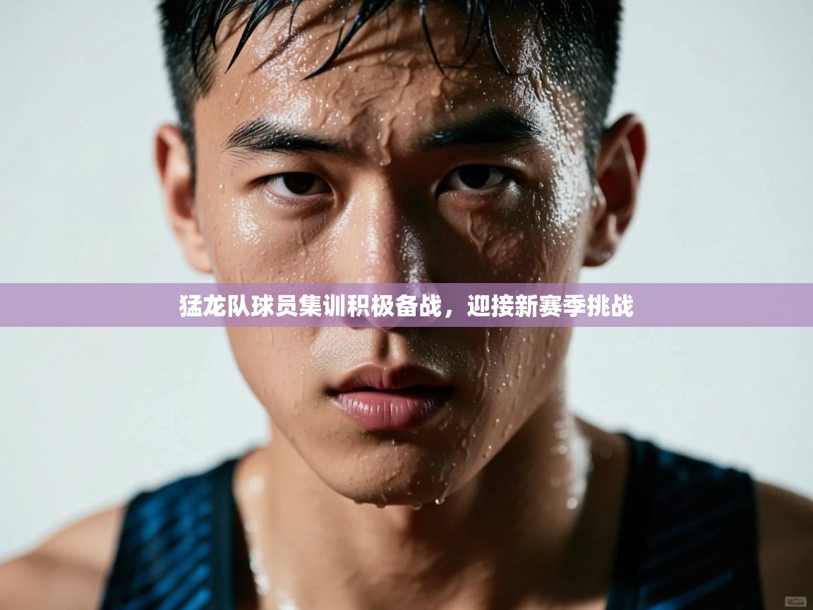 开云·体育app中国官方网站-猛龙队球员集训积极备战,迎接新赛季挑战 第2张