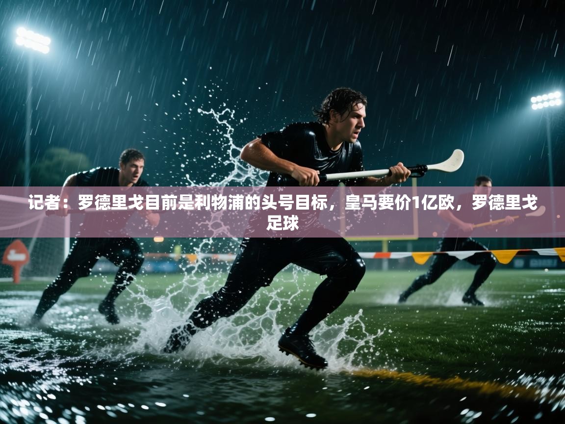 云开体育app登录入口-记者:罗德里戈目前是利物浦的头号目标,皇马要价1亿欧,罗德里戈足球 第4张