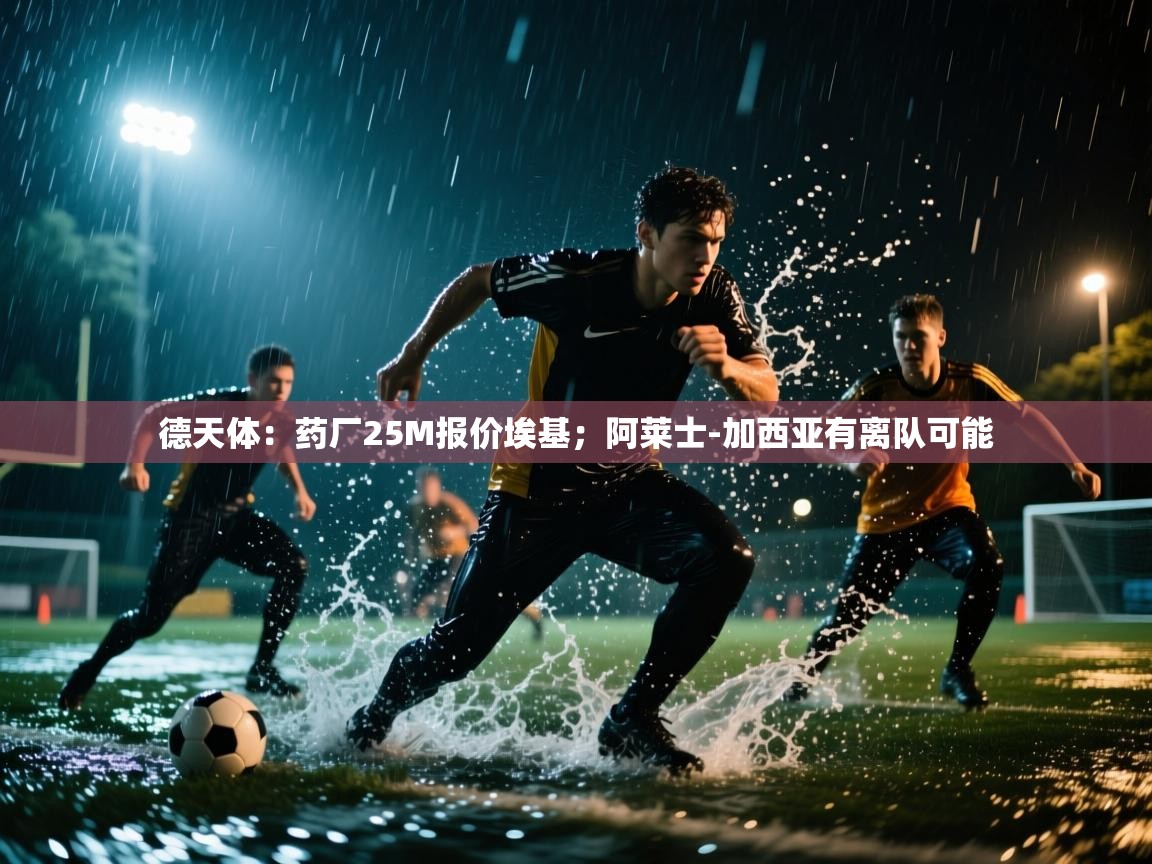云开体育app官网入口-德天体:药厂25M报价埃基;阿莱士-加西亚有离队可能 第2张