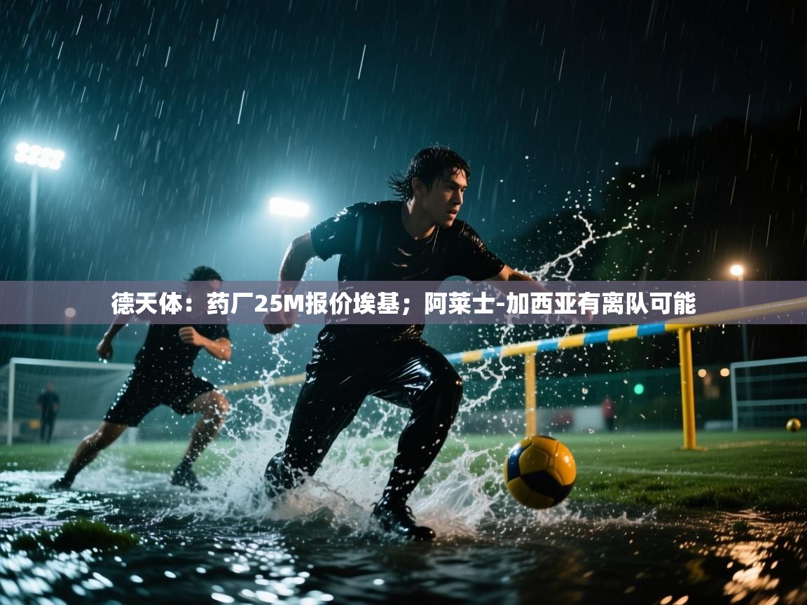 云开体育app官网入口-德天体:药厂25M报价埃基;阿莱士-加西亚有离队可能 第4张