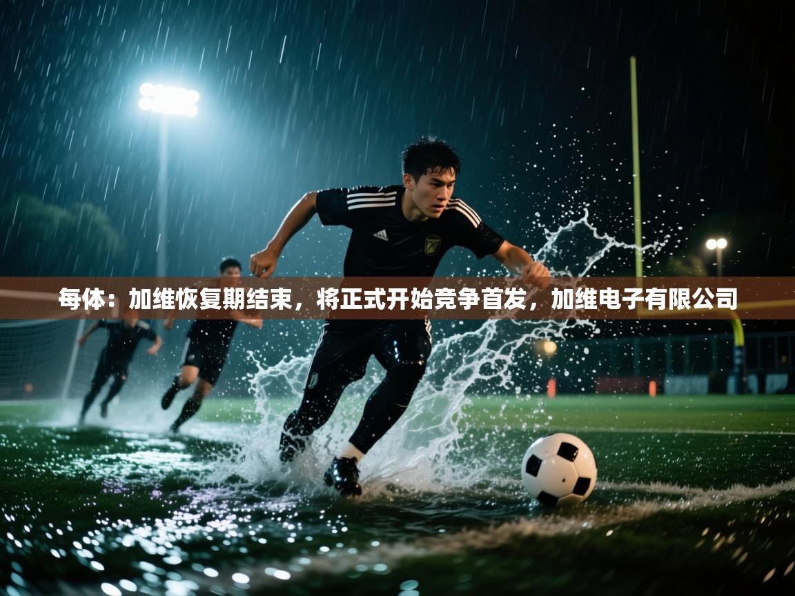 开云体育版本更新日志2025-每体:加维恢复期结束,将正式开始竞争首发,加维电子有限公司 第4张