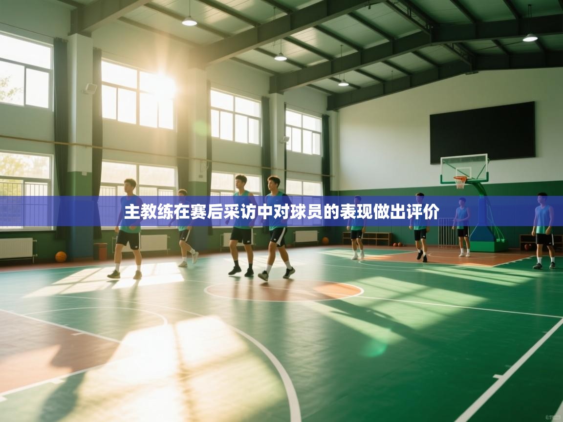 开云体育账号申诉通道-主教练在赛后采访中对球员的表现做出评价  第1张