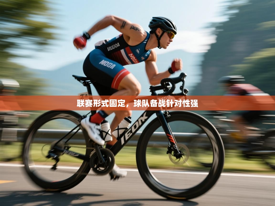 开云kaiyun体育app入口下载官网-联赛形式固定，球队备战针对性强  第2张