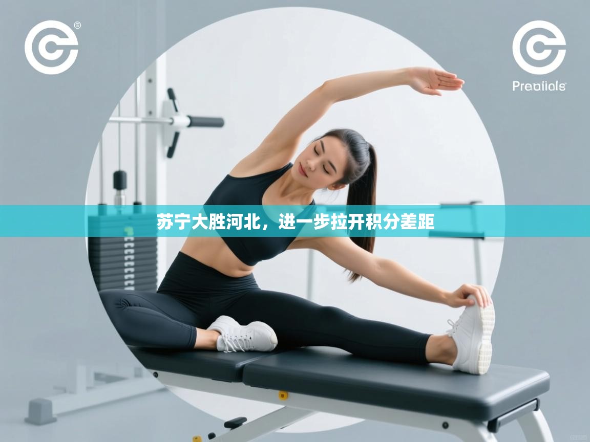 开云体育旧版下载地址-苏宁大胜河北，进一步拉开积分差距  第3张