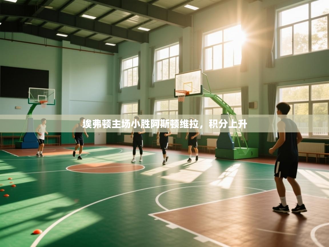 开云体育消息订阅关闭-埃弗顿主场小胜阿斯顿维拉，积分上升  第1张