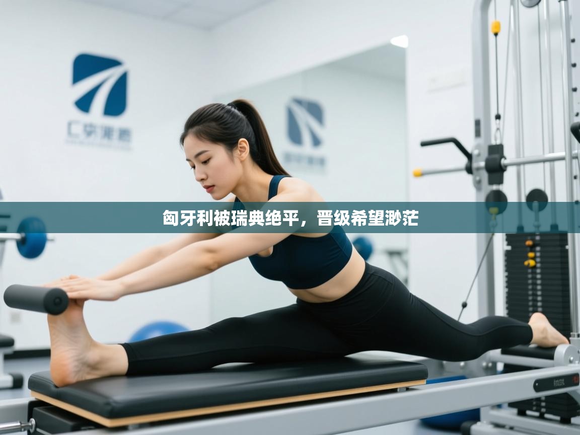 开云体育版本更新日志2025-匈牙利被瑞典绝平，晋级希望渺茫  第2张