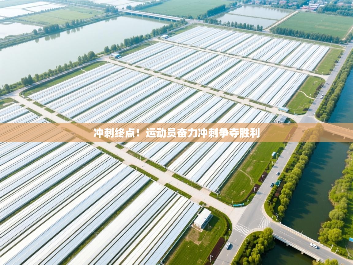 开云体育入口平台-冲刺终点！运动员奋力冲刺争夺胜利  第3张