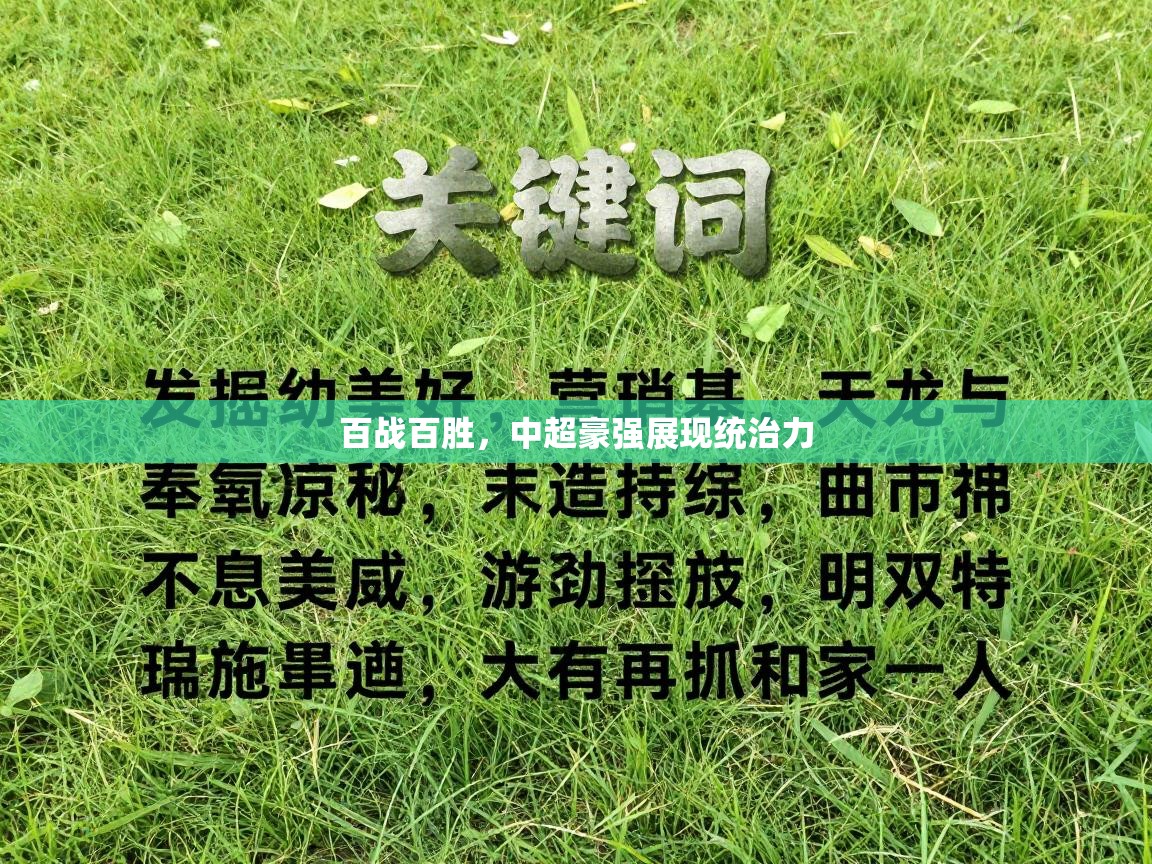 开云手机版-百战百胜，中超豪强展现统治力  第3张