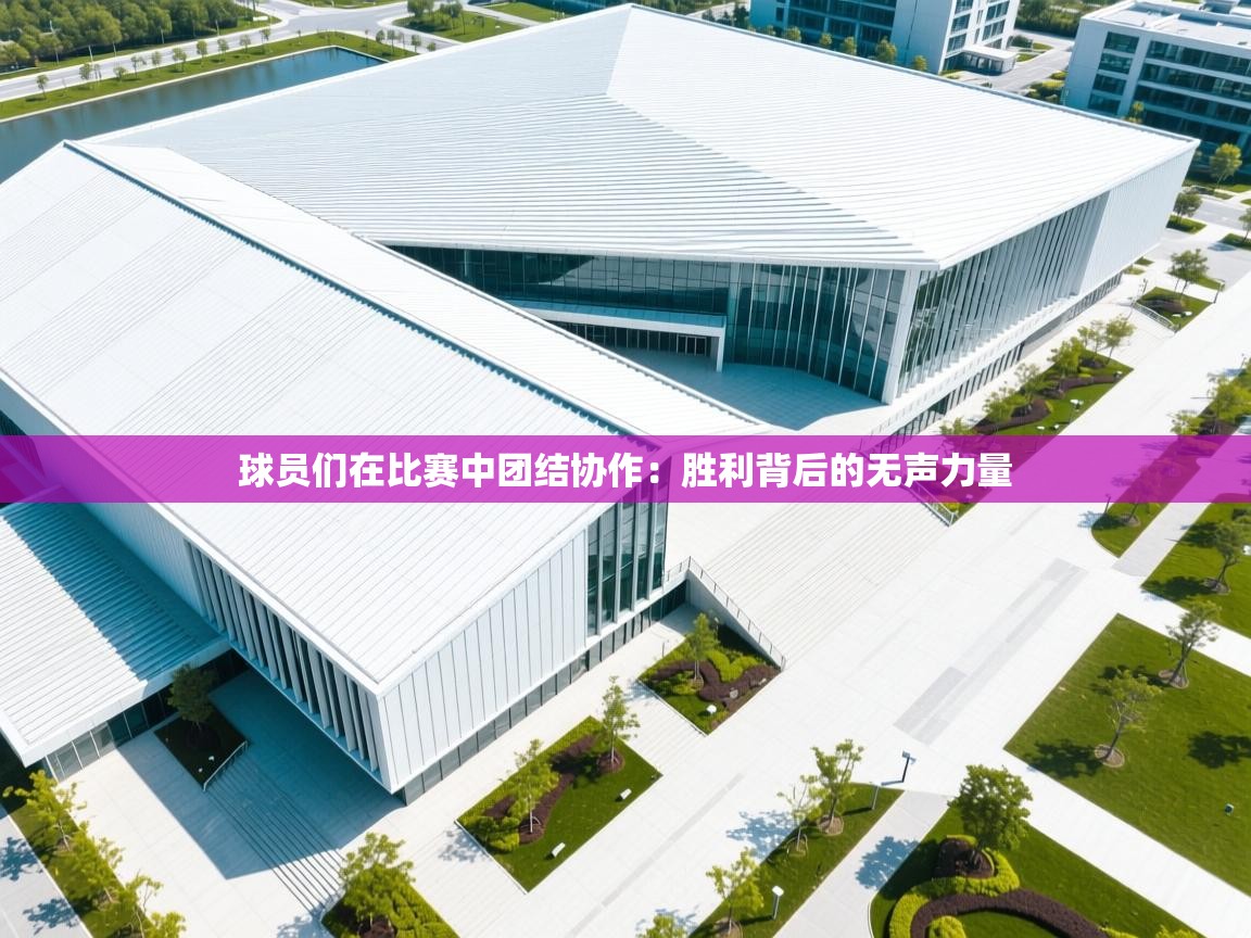 开云体育安卓APK下载-球员们在比赛中团结协作：胜利背后的无声力量  第1张